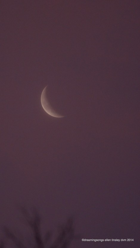 _RK_1538 lavender moon rising2014_1