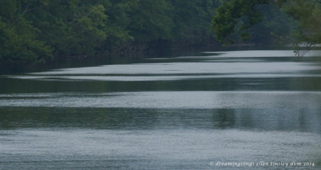 _RK_3105 aquamarine quietude 2014 (1)