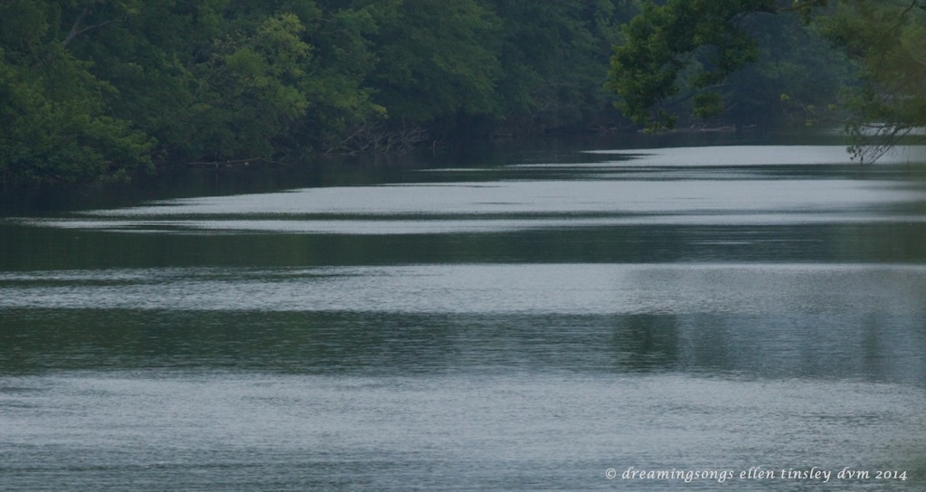 _RK_3105 aquamarine quietude 2014 (1)