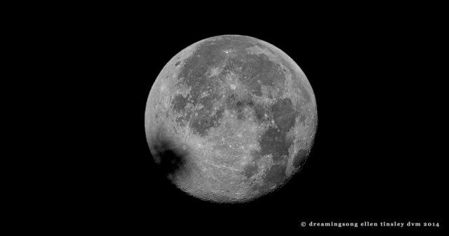 _RK_8974 full moon setting 6-14-2014  2014