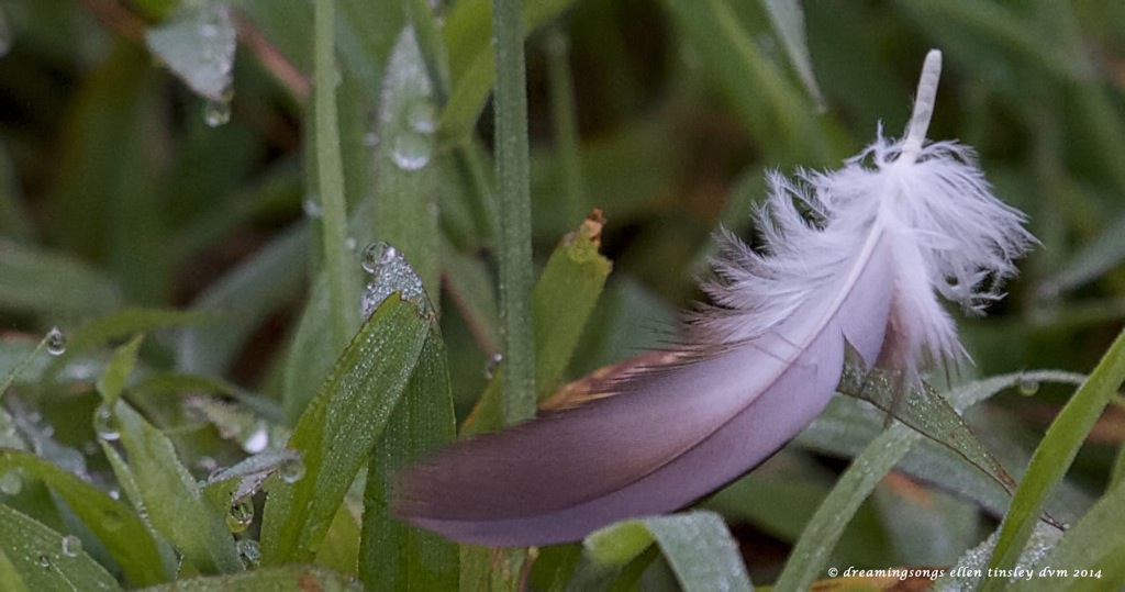 IMG_0103 water and sky 2014