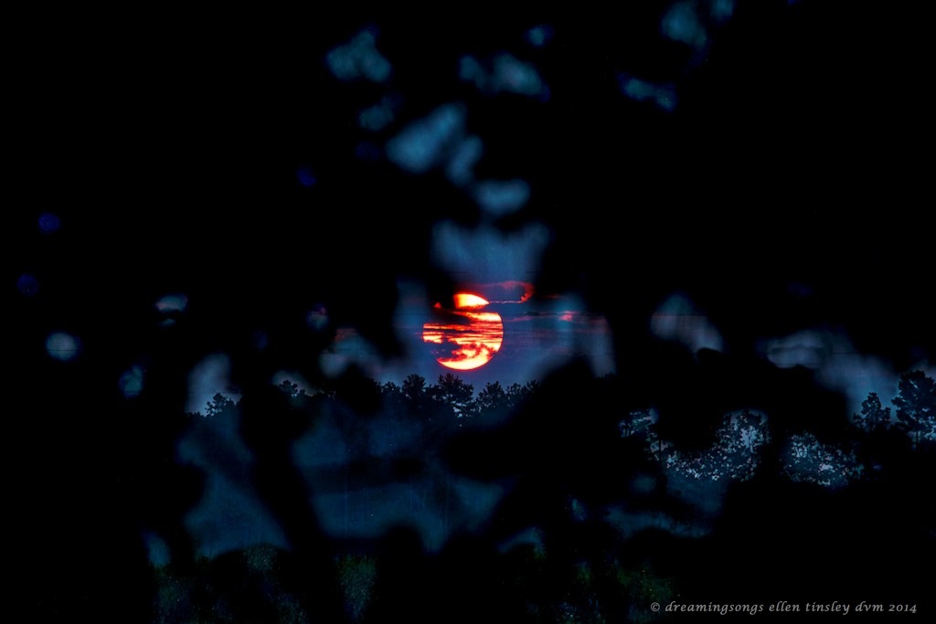 IMG_0176 Creators furnace dawn 2014