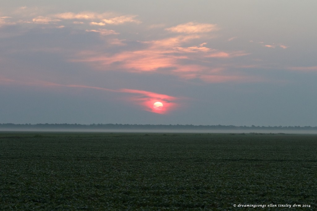 IMG_0296 sunrise poem medium 2014