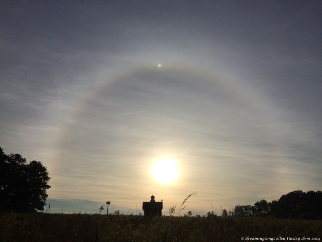 halo Haw river meadow IMG_8388