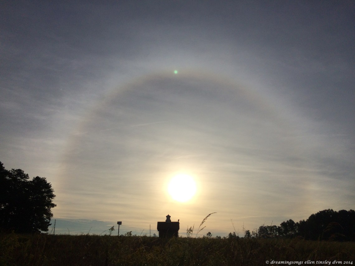 halo Haw river meadow IMG_8388