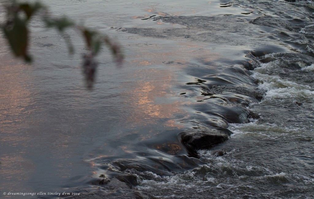 IMG_1274 pink reflections rapids crop 2014