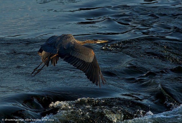 _RK_1380 gbh over dawn rapids med 2 2014