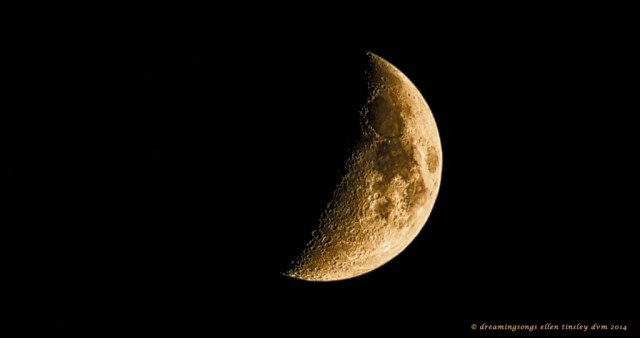 _RK_2318 waxing crescent moon 2014