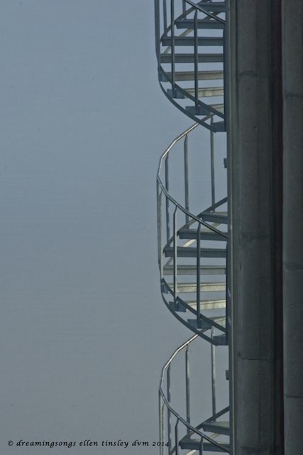 _RK_8493 blue spiral stairs 2014