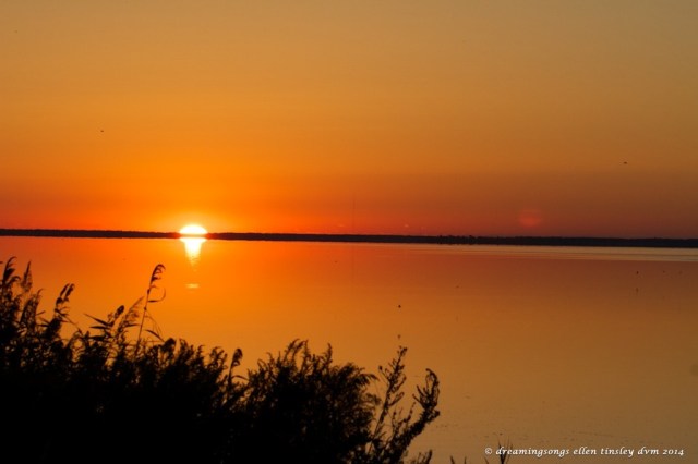 IMG_1388 sunrise sun ghost med 2014