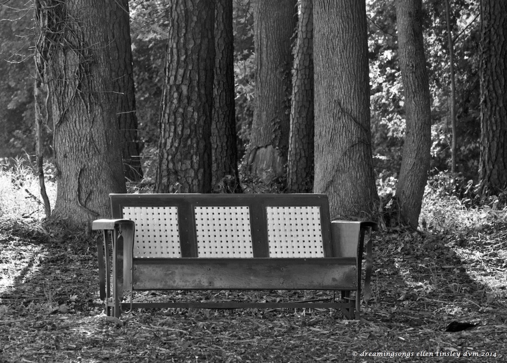 IMG_1506 metal lawn rocker 2014