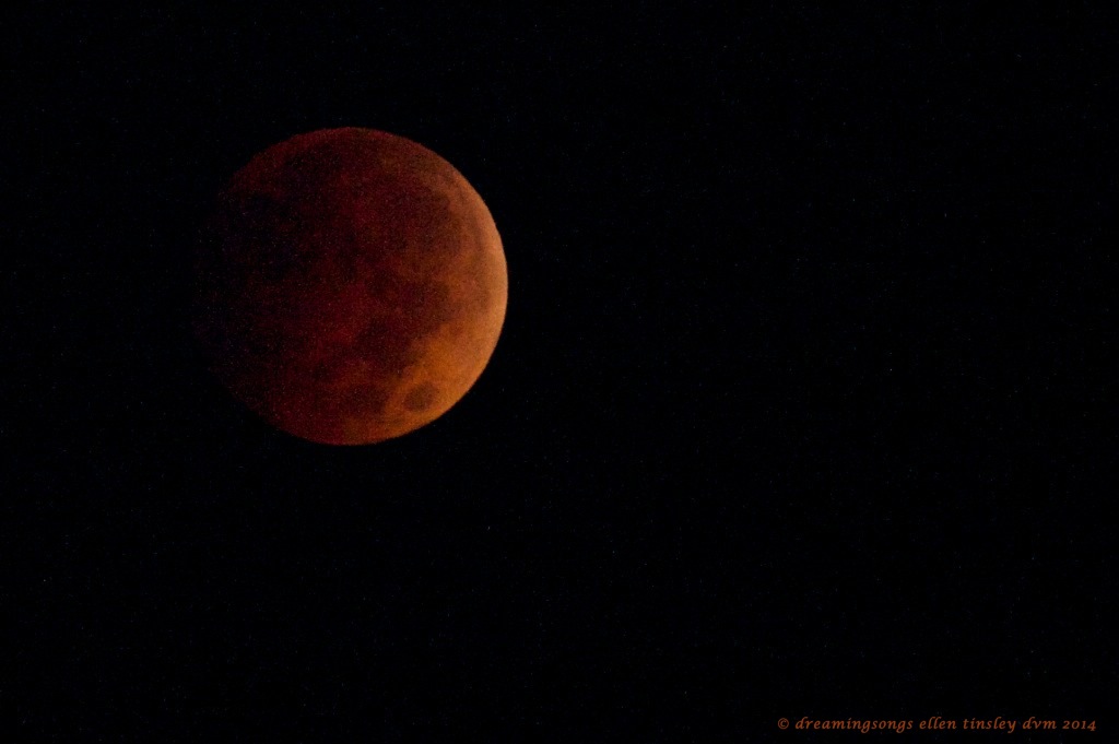 _RK_3552 lunar eclipse 06-36-50 2014