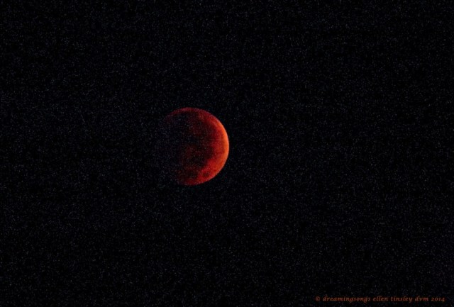 _RK_3554 lunar eclipse 06-39-59 2014