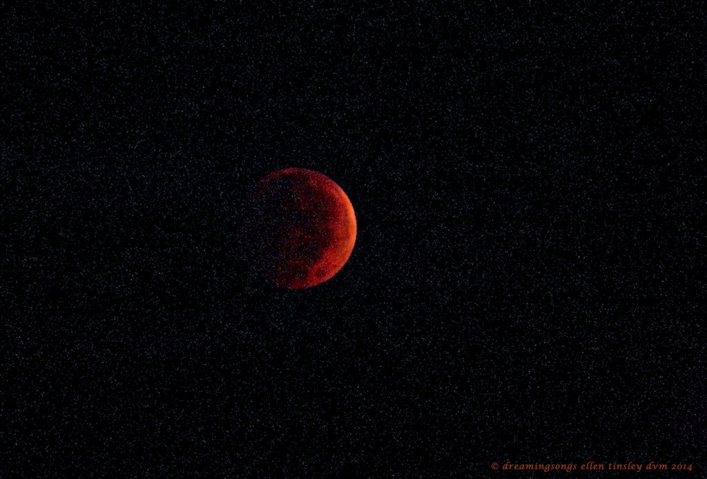 _RK_3554 lunar eclipse 06-39-59 2014