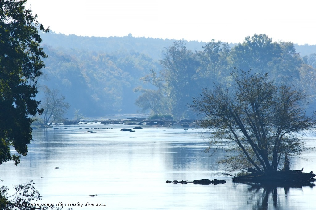 _RK_4779 autumn morning Cape Fear 2014
