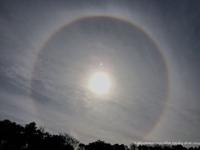 IMG_8984 sun dog 22 halo YM small 2014