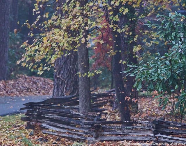 WALK1582 split rail fence 2014