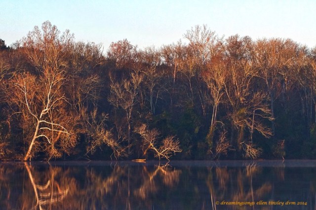IMG_3484 Cape Fear autumn dawn 2014