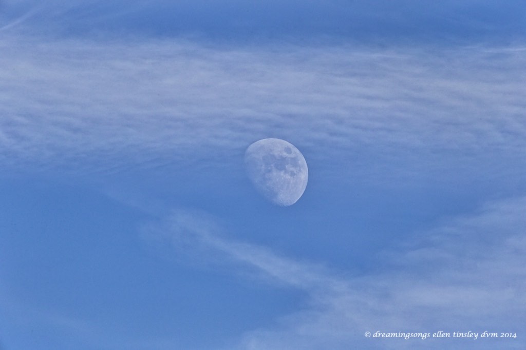 WALK7270 final moonrise 2014  2014