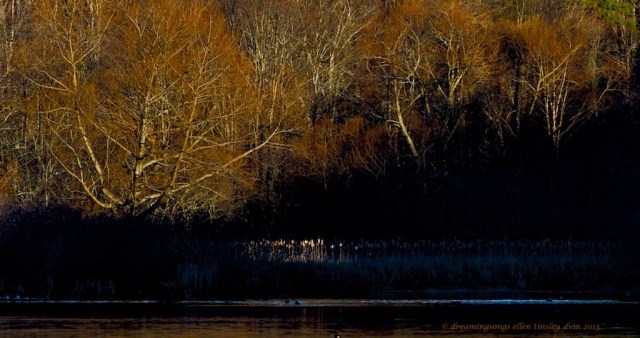 Big Lake, Umstead State Park
