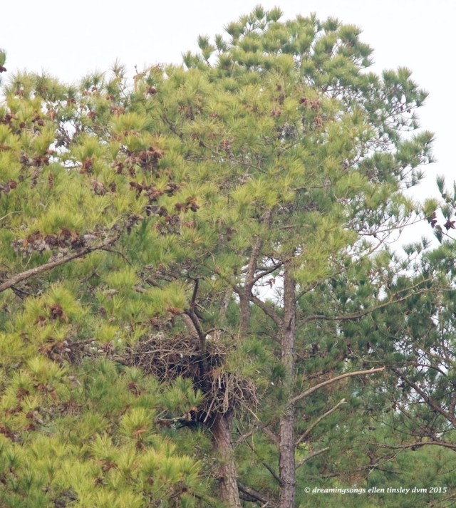 to tell about distances