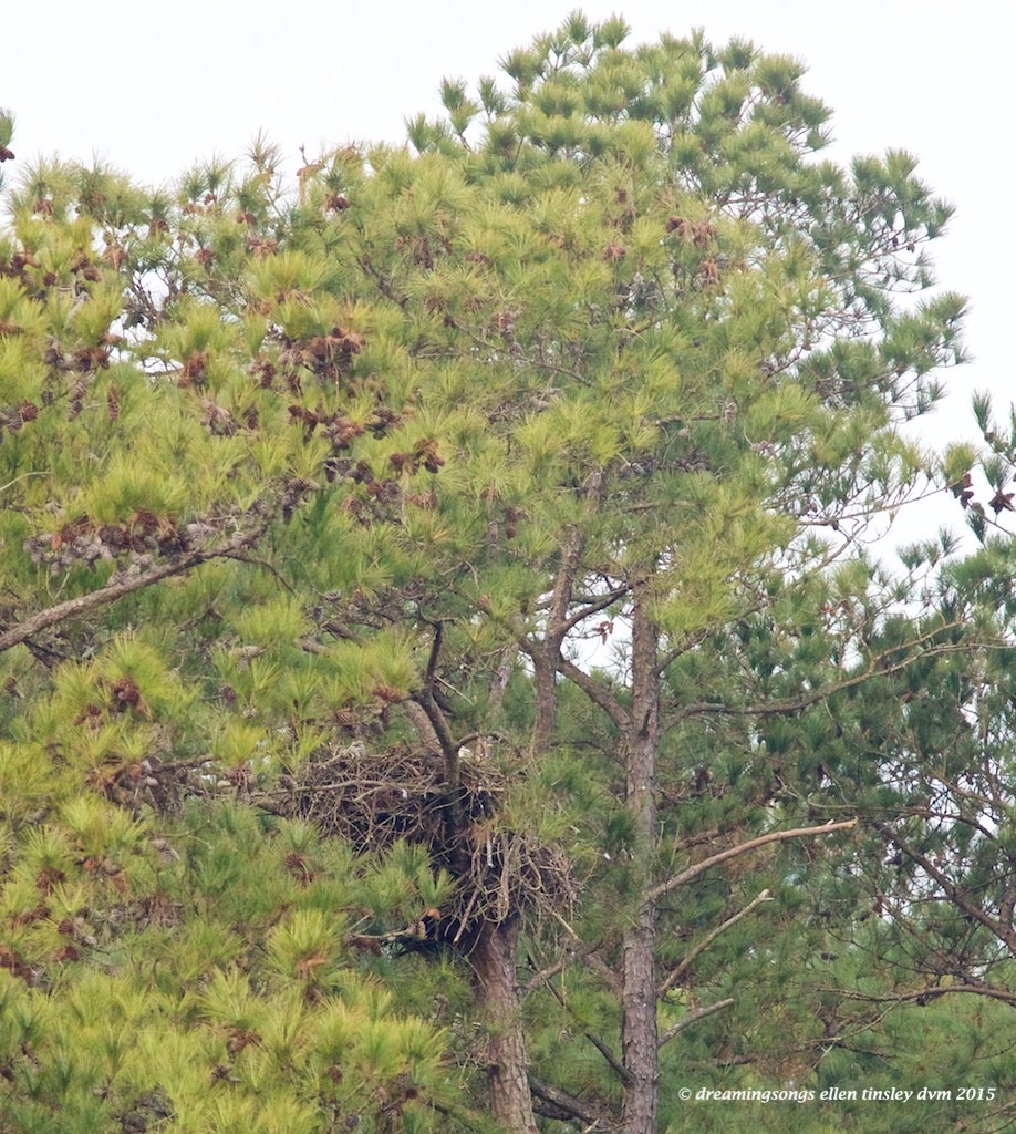 to tell about distances