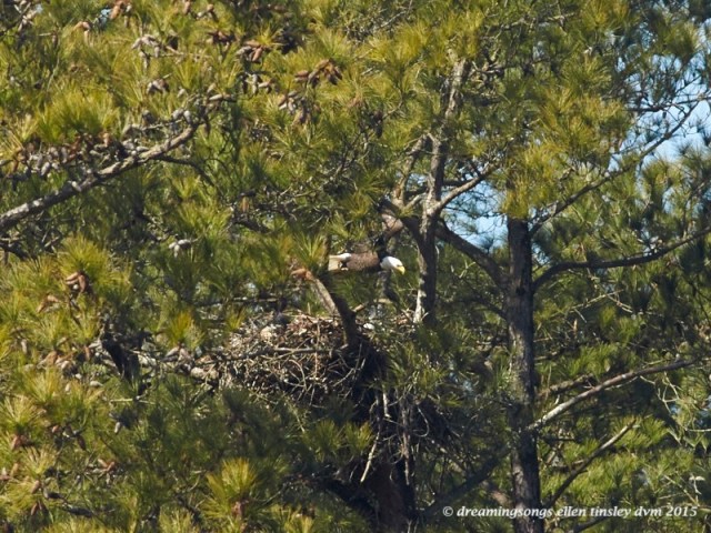 WALK3072 - 2015-03-02 at 11-29-07 1