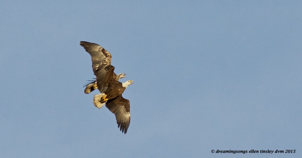 WALK5407 3 and 4 year old contrast2015