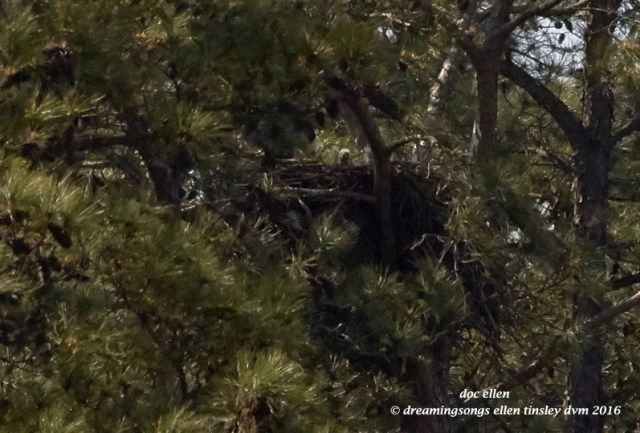 WALK3913 03-24-16 @ 15-18-25 New Hope Quiz 1