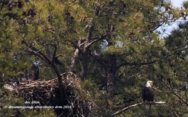 WALK1622 04-27-16 @ 12-14-27 New HopeQuiz backside