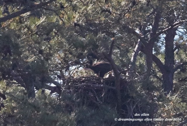 WALK5148 03-29-16 @ 16-07-51 New Hope Kate & Quiz