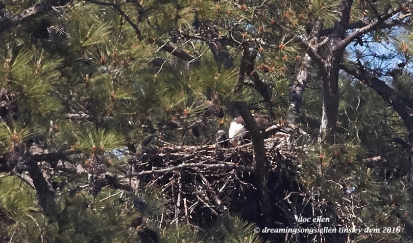 WALK7073 04-04-16 @ 12-12-18 New Hope Quiz and Kate