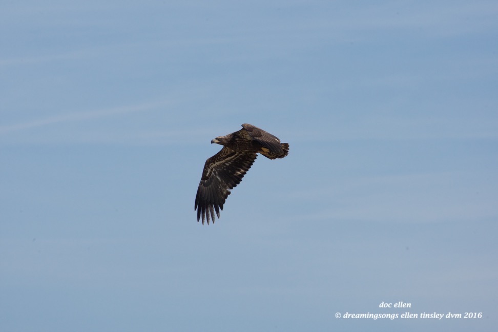 _RK_3728 Feb 17 2014 11-46-58 Aperture Feb. 2014