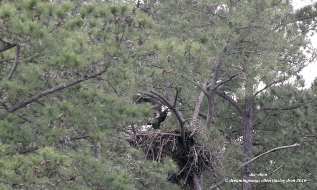 Screen Shot 2016-05-03 at 7.44.23 PM