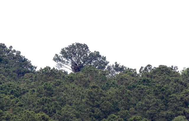 Screen Shot 2016-05-10 at 10.15.15 AM (2)