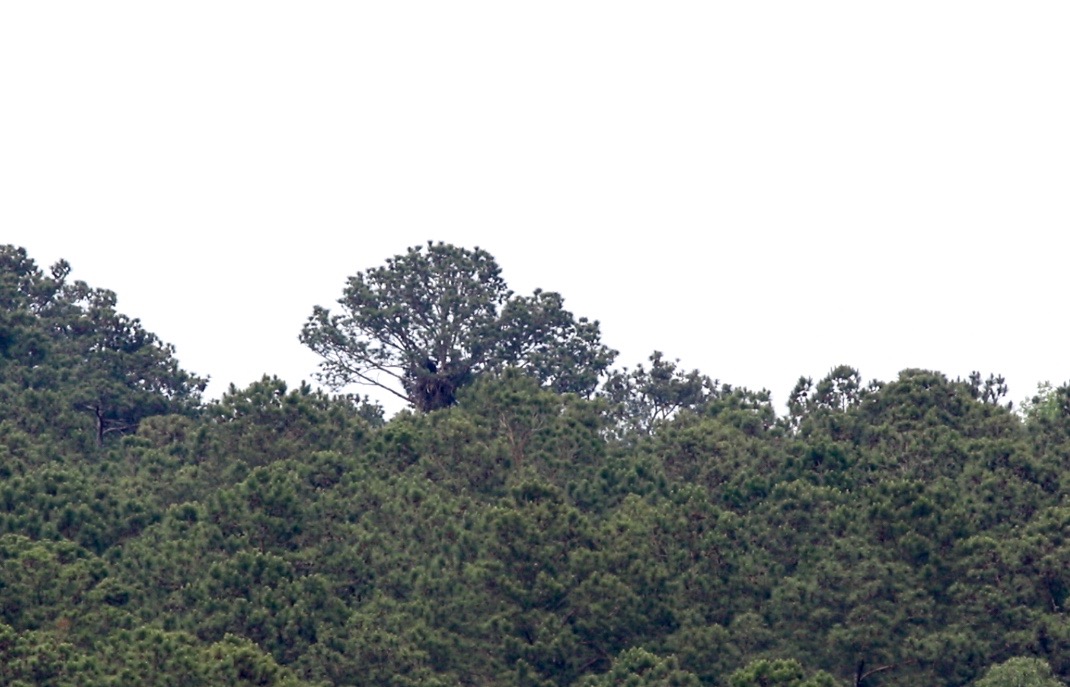 Screen Shot 2016-05-10 at 10.15.15 AM (2)