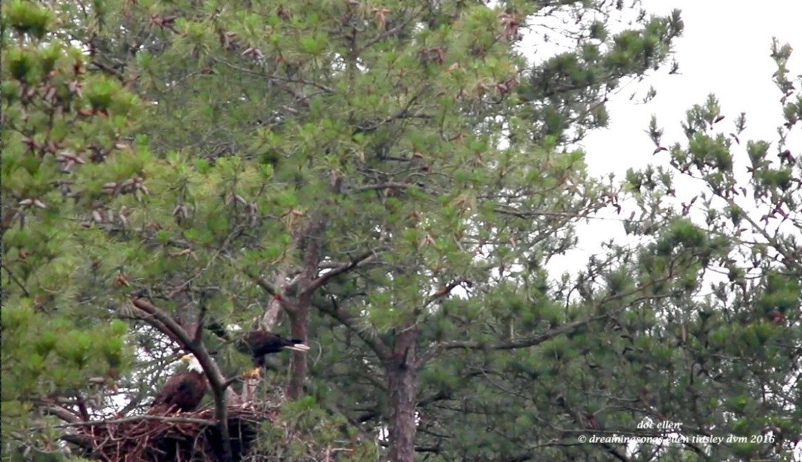 Screen Shot 2016-05-23 at 9.39.07 PM