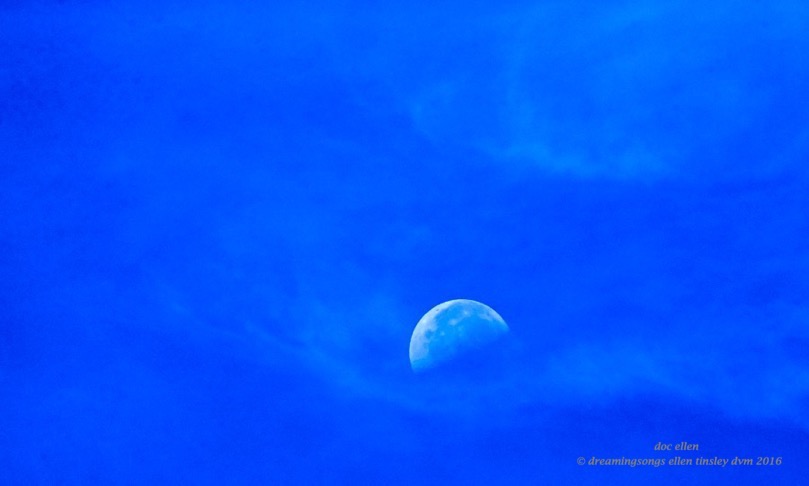 moon Creators hand W4356