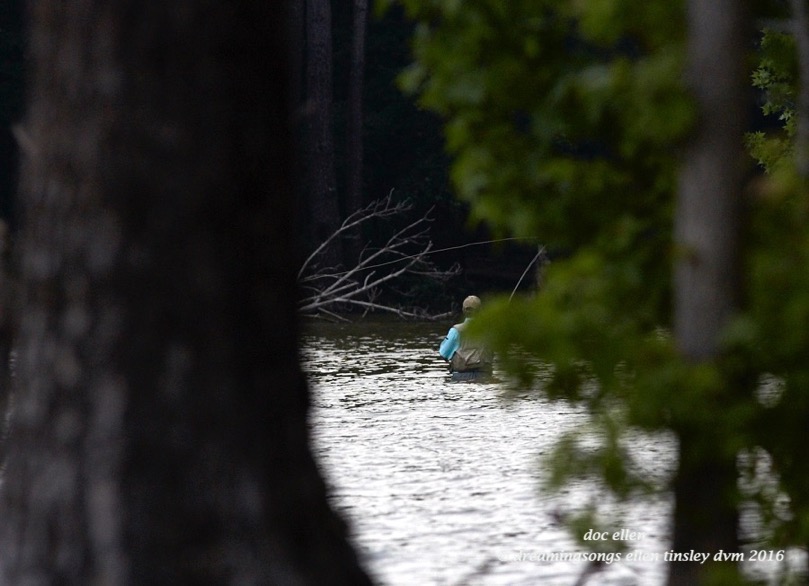 WALK2701 07-18-16 @ 07-20-39 Ebenezerfisherman