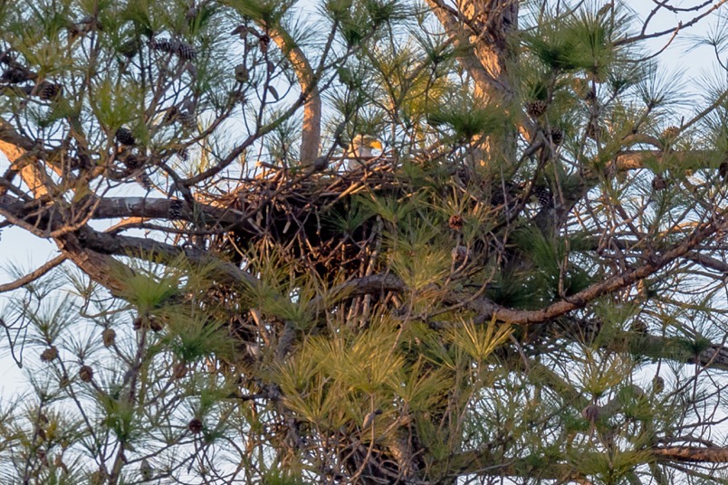 december-22_2016-0279