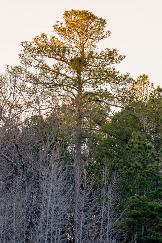 december-22_2016-0299