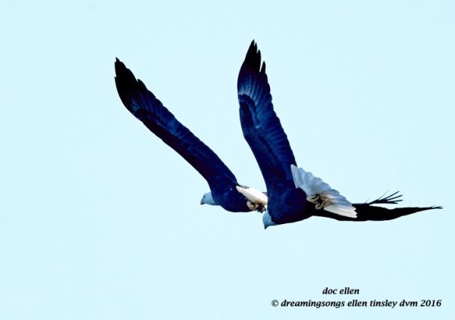 walk7162-12-01-16-11-20-21-ebenezer-lady-and-heritage