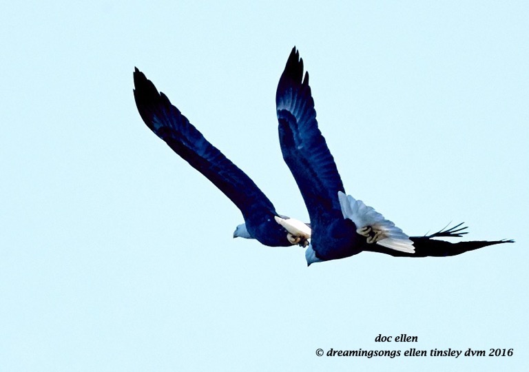 walk7162-12-01-16-11-20-21-ebenezer-lady-and-heritage