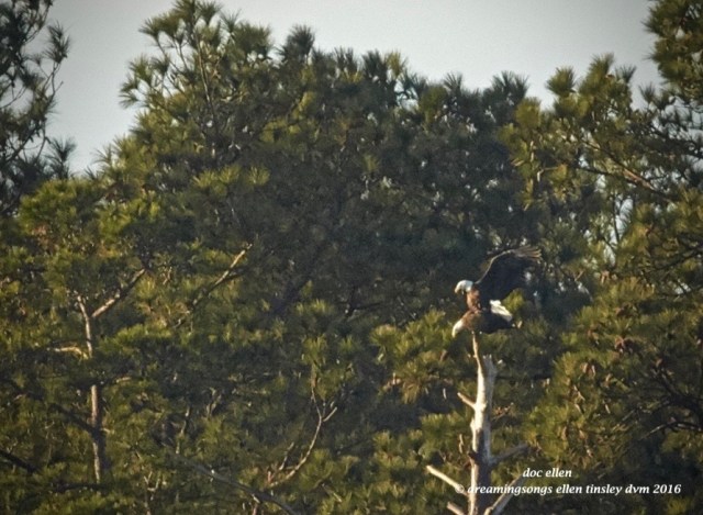 walk9823-12-28-16-09-07-29-ebenezer-2_edit