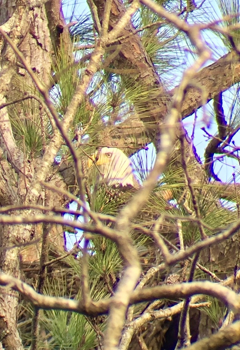 photo by Steve McMurrey