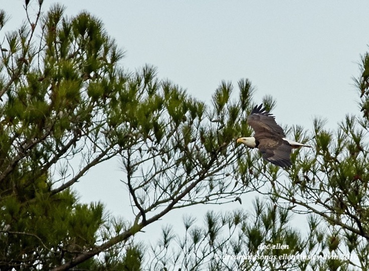 walk0632-01-04-17-11-12-19-new-hope-new-hope-parents