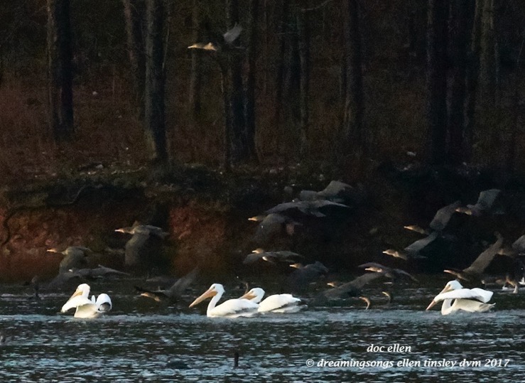 walk3691-01-23-17-08-41-46-ebenezer-feast