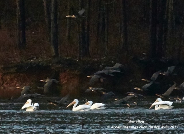 walk3691-01-23-17-08-41-46-ebenezer-feast