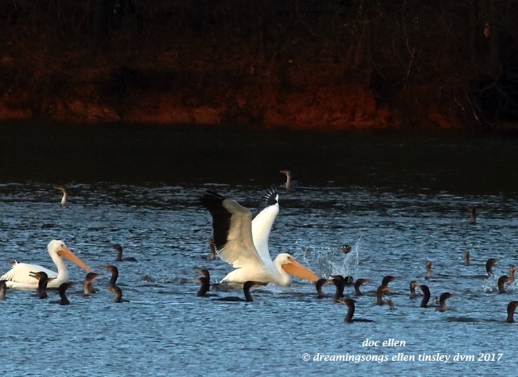 walk3760-01-23-17-08-48-40-ebenezer-feast