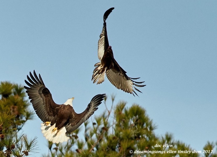 walk6059-01-31-17-10-25-27-new-hope-kate-vulture